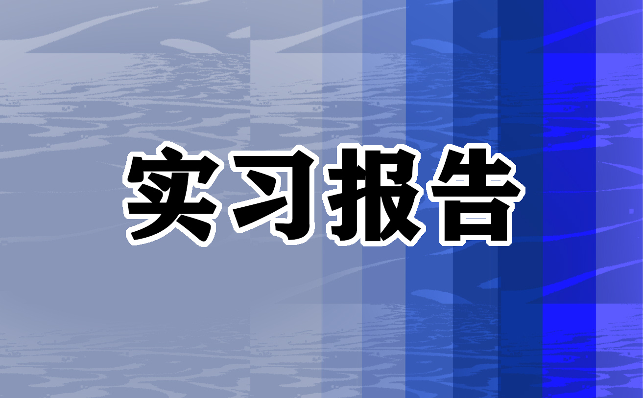 erp实训心得2023